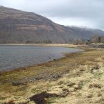 Walking Loch Creran
