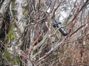 Walking Loch Creran