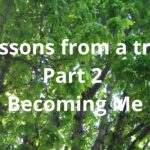 lessons form a tree