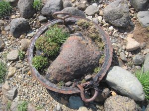 Walking Loch Creran