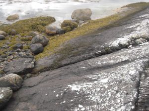 Sea smoothed rocks.