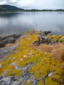 Rhuba Riabhach point.