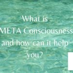 META Consciousness