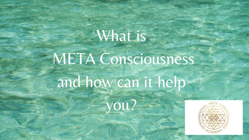 META Consciousness