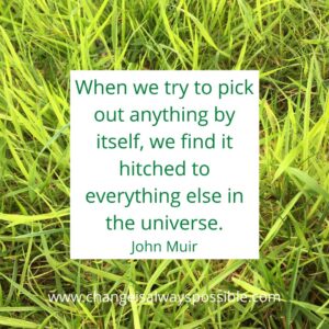 John Muir quote