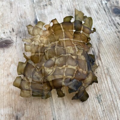 weaving seaweed