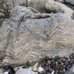 Isle of Eriska shoreline