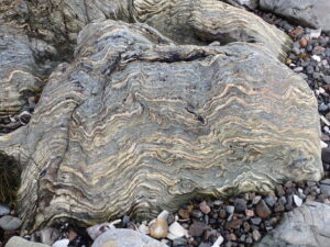 Isle of Eriska shoreline
