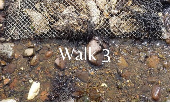Walk 3