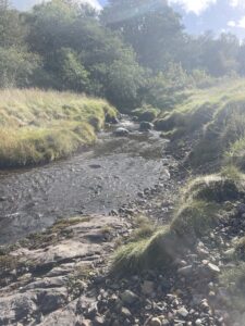 River Loch Creran