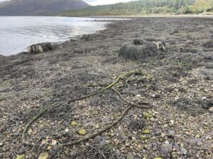 Old rope Loch Creran