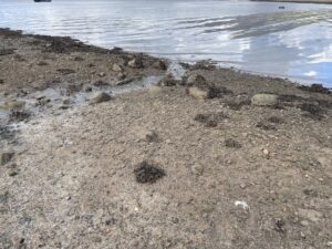 Discharge covering the shore Loch Creran