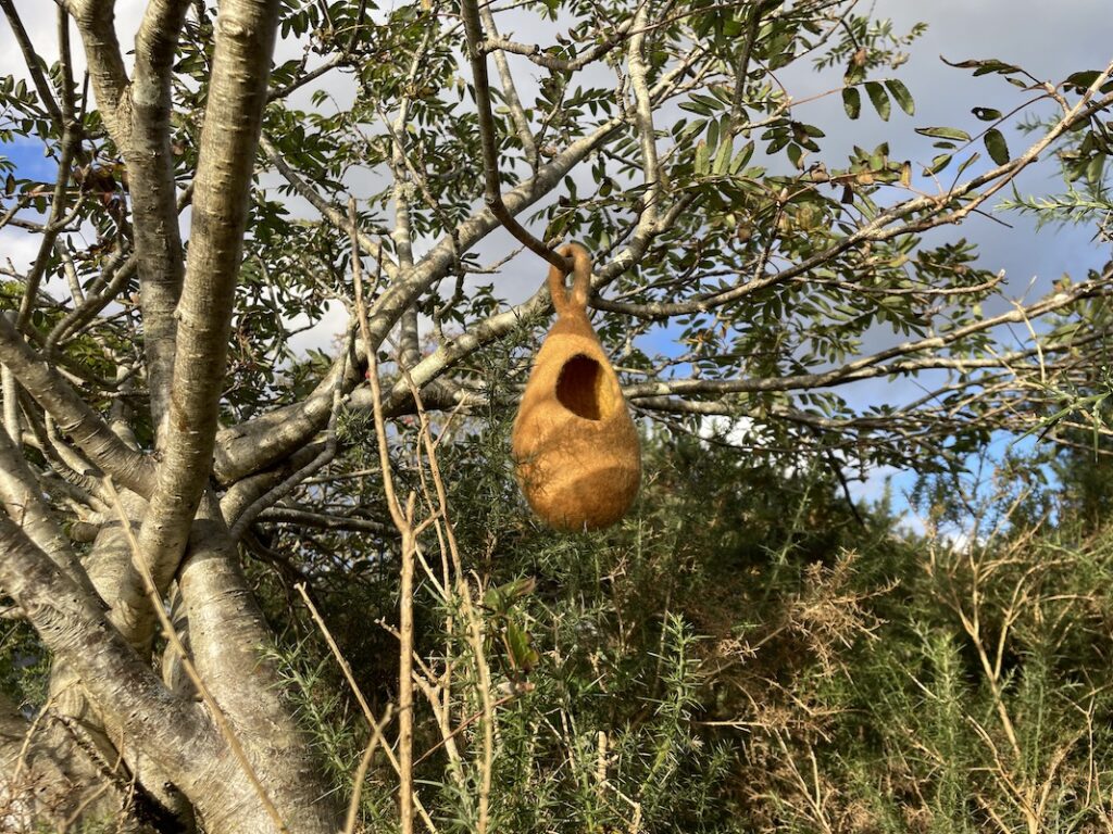 Felt pod Loch Creran
