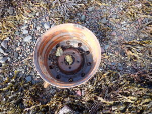 Rusty wheel hub Loch Creran